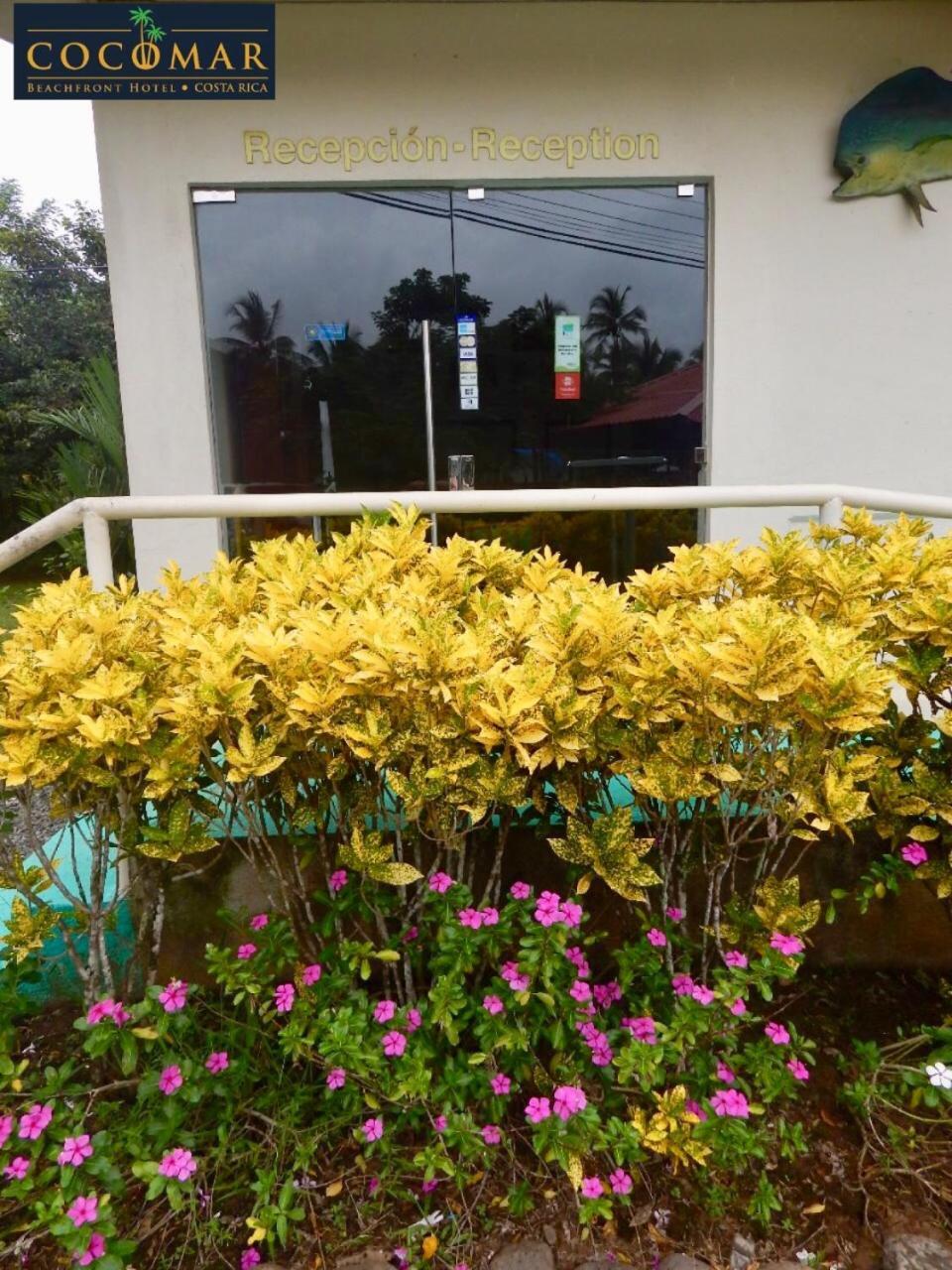 Cocomar Beachfront Hotel Parrita Exteriör bild