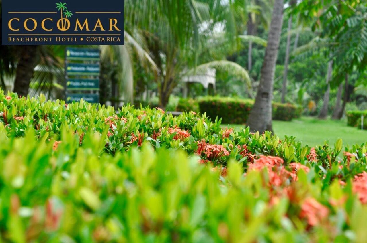 Cocomar Beachfront Hotel Parrita Exteriör bild