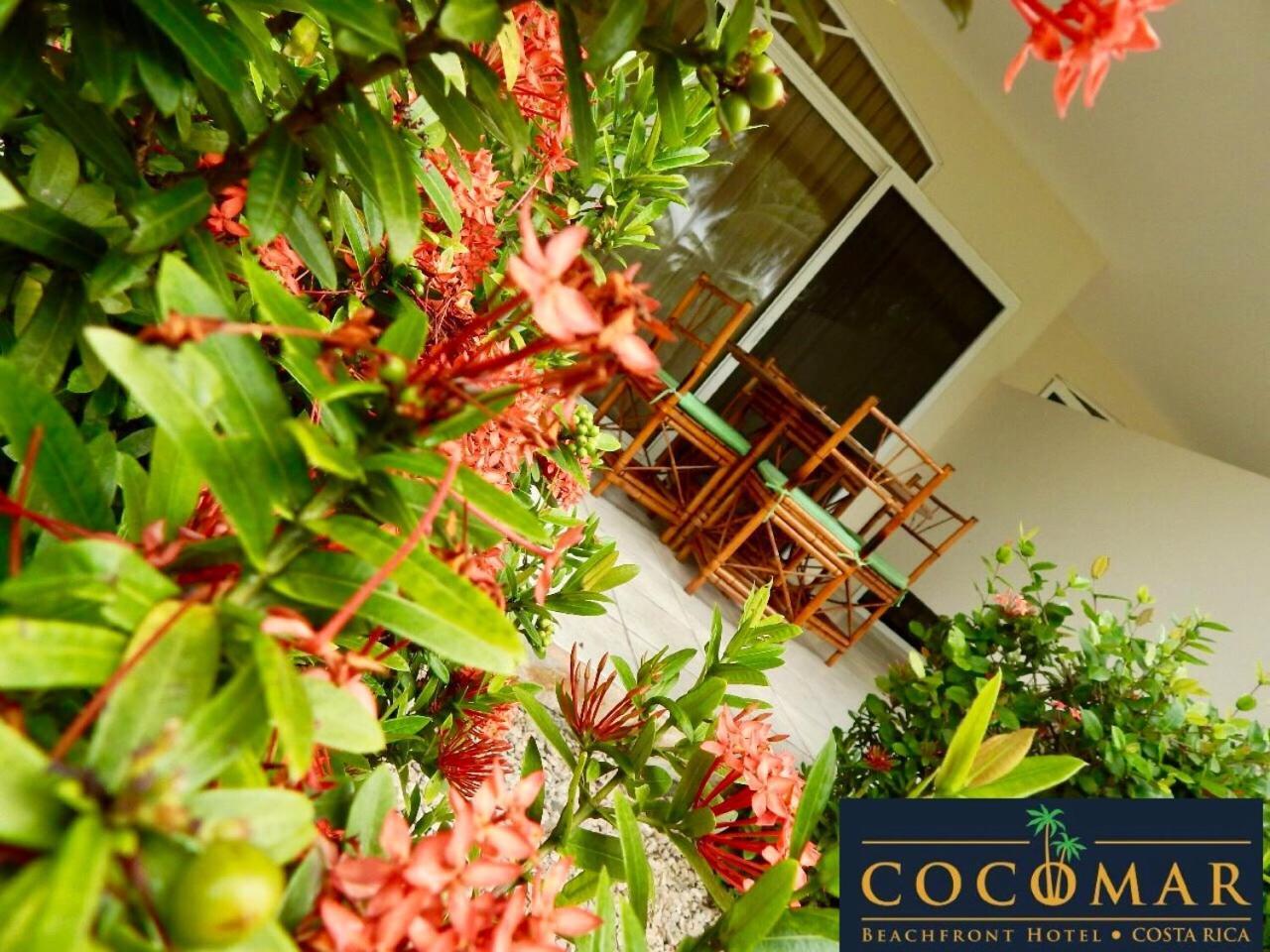 Cocomar Beachfront Hotel Parrita Exteriör bild