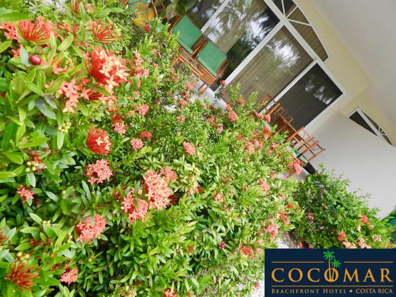 Cocomar Beachfront Hotel Parrita Exteriör bild